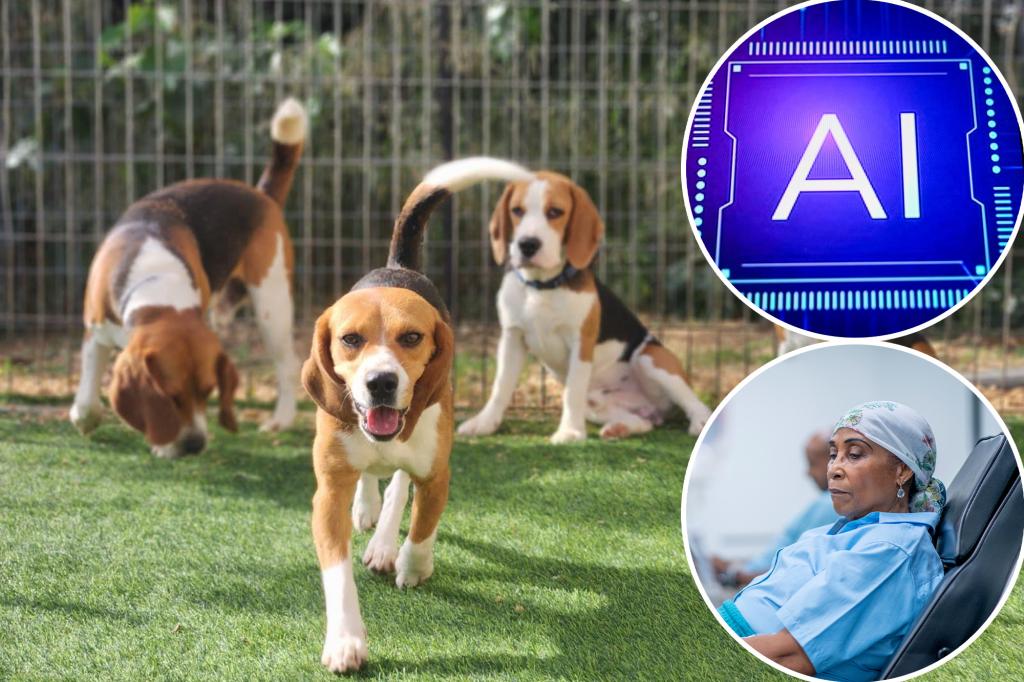 The new home test can detect cancer - thanks to the cubs who smell it