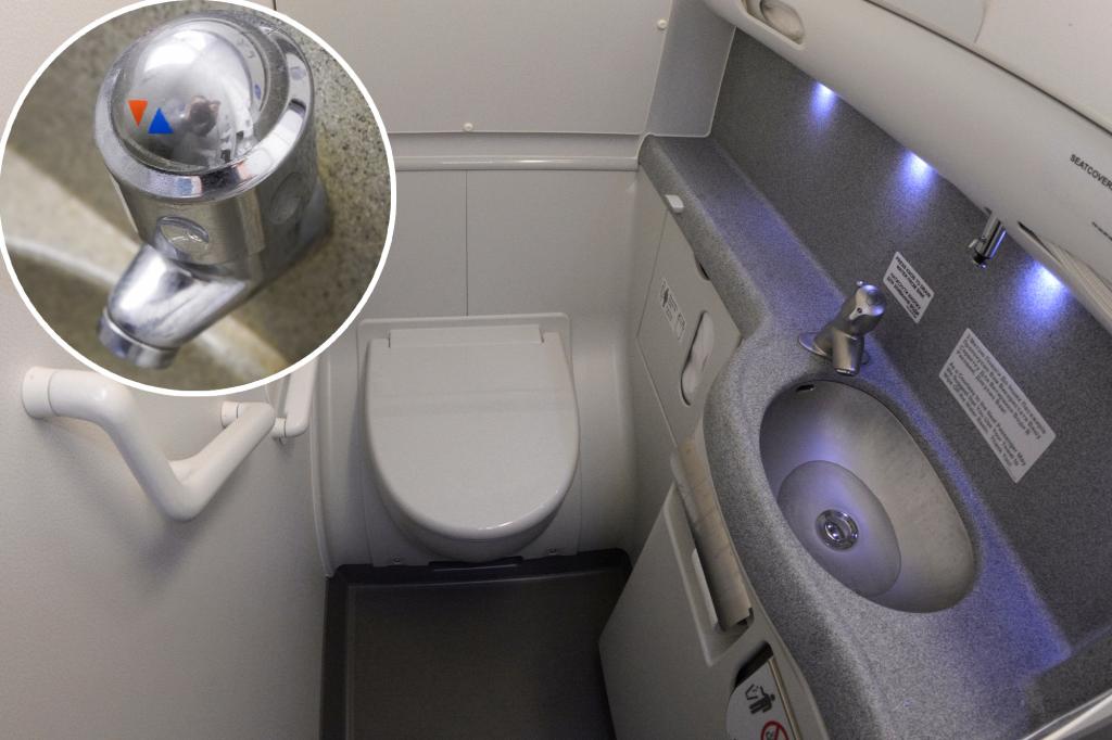 A Bathroom by Gross Plane is the wrong place to do this, experts say - and you have to follow their advice