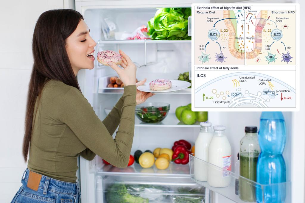 Fraud food tastes well but new study reveals that they are bad for bodies