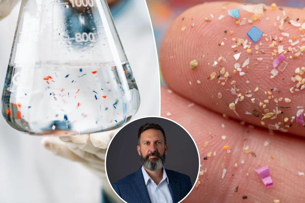 As microplastics can destroy the immune system: new study