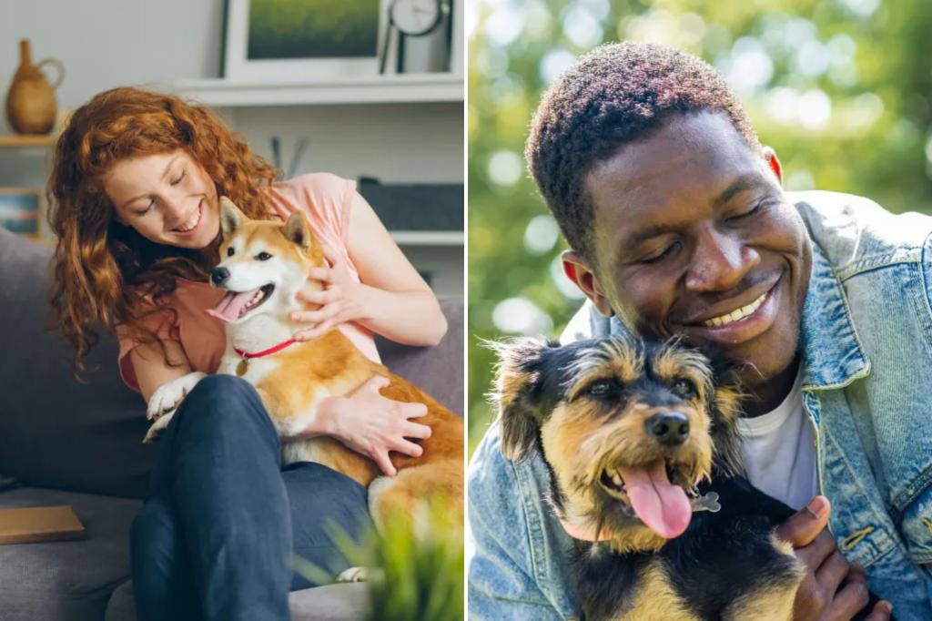My bride is angry I told her dogs her mothers are not true mothers-and I didn't buy it a gift for mother's day