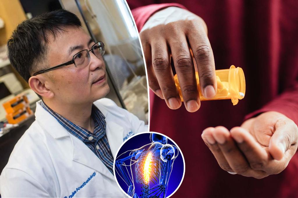 New 'exciting' new non-opioid Painkiller shows promising results