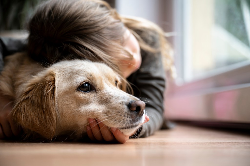 Girl caressing her dog on the floor.